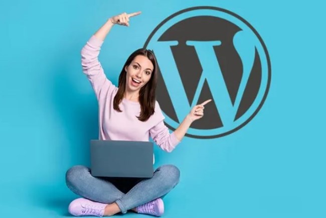 Criação de Sites WordPress em Serra - ES